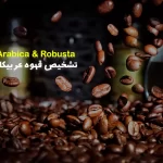 نحوه ی تشخیص قهوه عربیکا از ربوستا