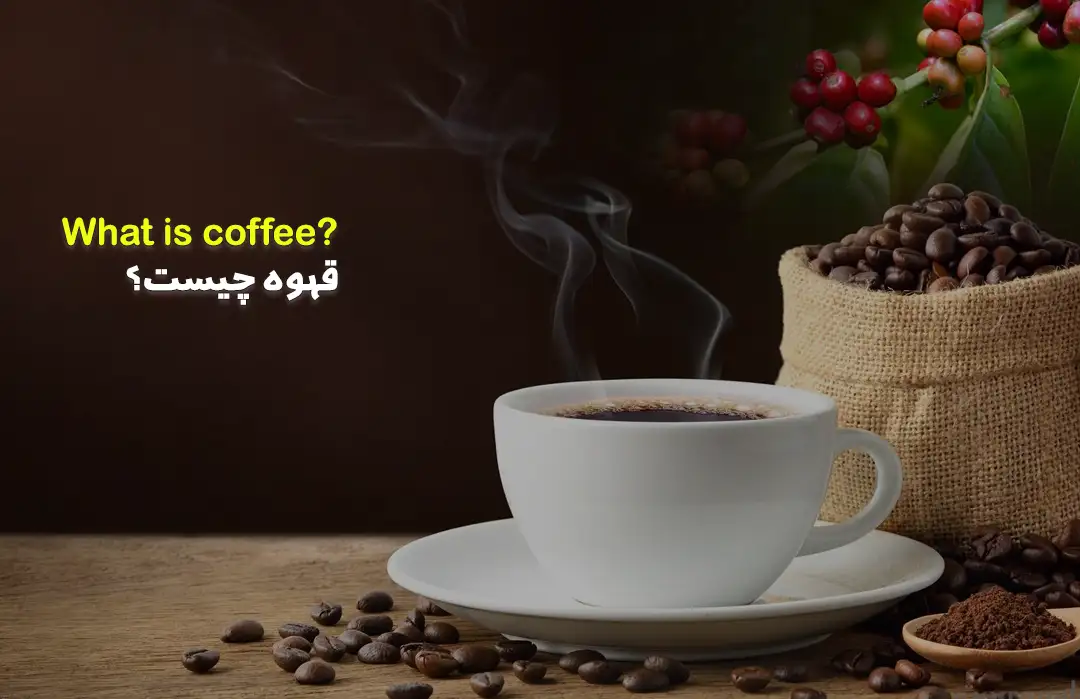 قهوه چیست؟