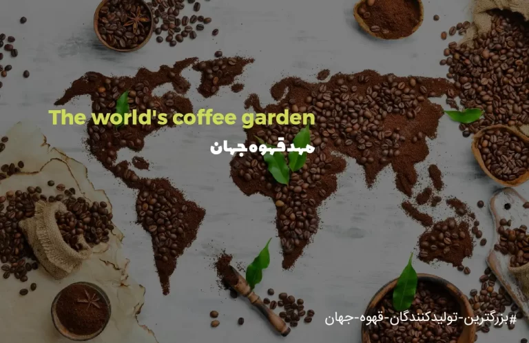 مهد قهوه جهان