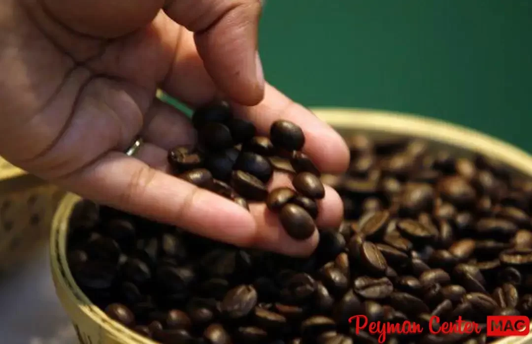 قهوه آل سالوادور چیست؟